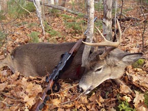 photo of big buck deer outdoorsman lodging patten me